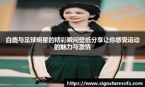 白鹿与足球明星的精彩瞬间壁纸分享让你感受运动的魅力与激情
