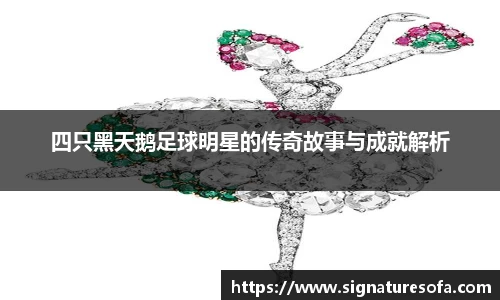 四只黑天鹅足球明星的传奇故事与成就解析